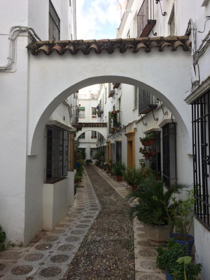דירות קורדובה Lujosa Vivienda En Plena Juderia מראה חיצוני תמונה